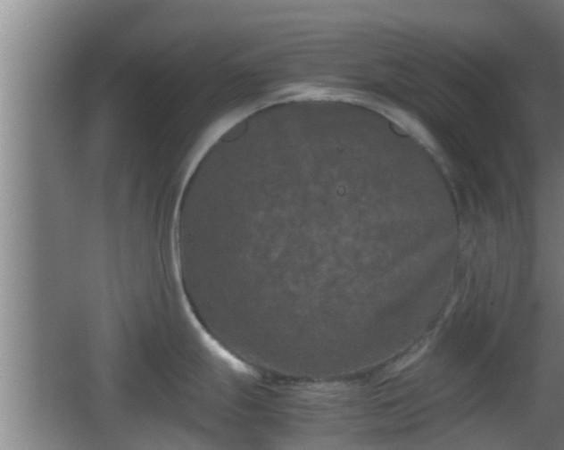 X0000062831247200601171411