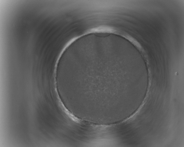 X0000062831248200601171411