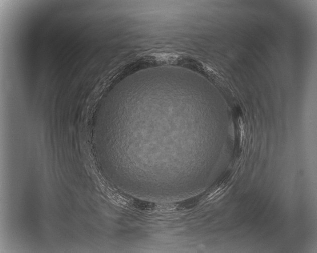 X0000062831249200601171410