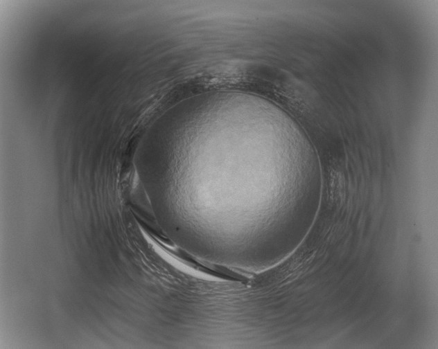 X0000062831250200601171410