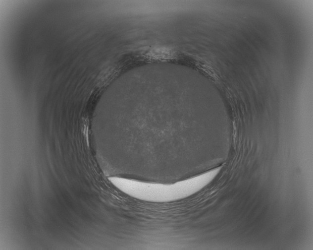 X0000062831251200601171410