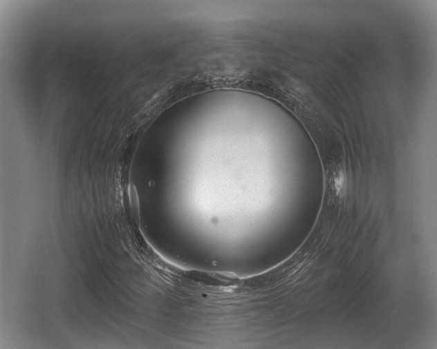 X0000062831252200601171410