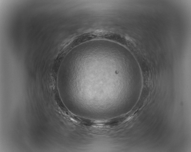 X0000062831253200601171410