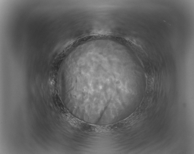 X0000062831254200601171410