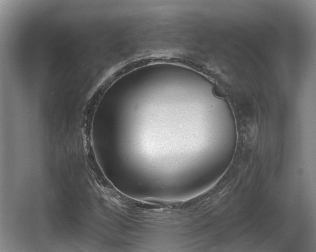 X0000062831256200601171410