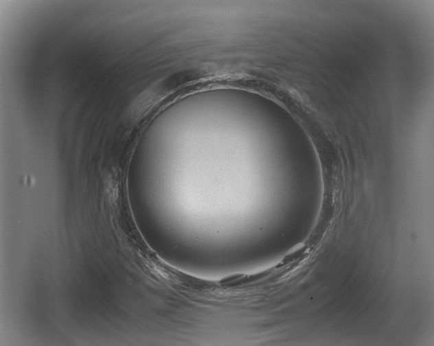 X0000062831257200601171410