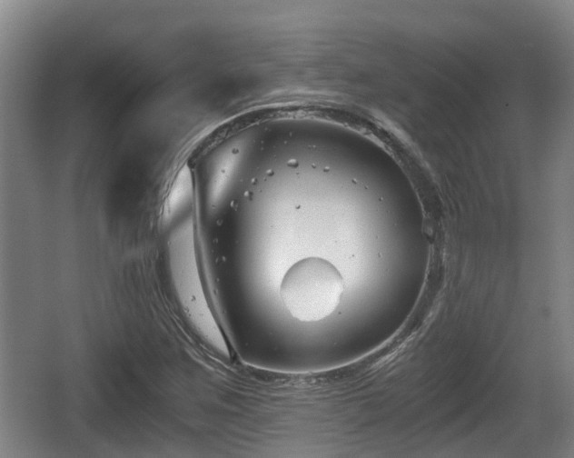 X0000062831259200601171410