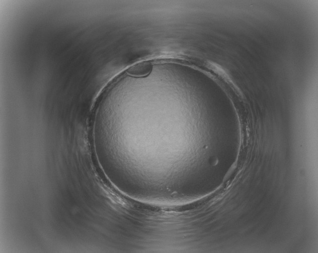 X0000062831260200601171410