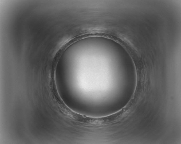 X0000062831261200601171410