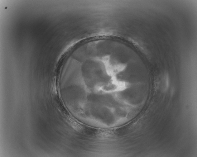 X0000062831262200601171410