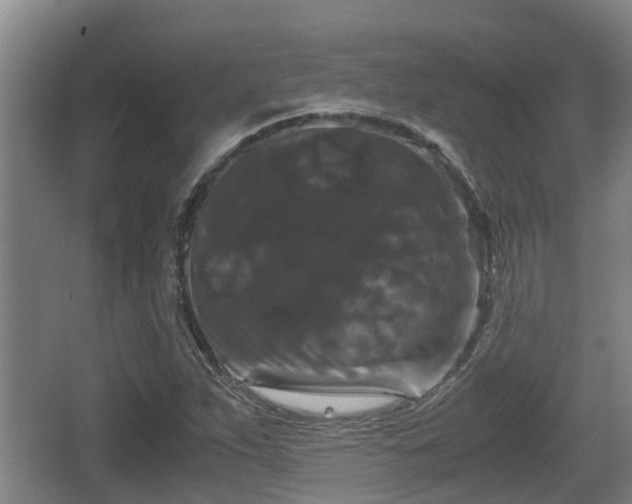 X0000062831263200601171410