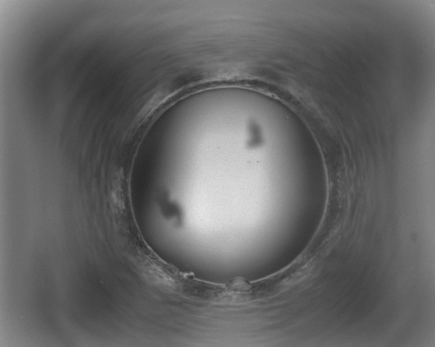 X0000062831265200601171410