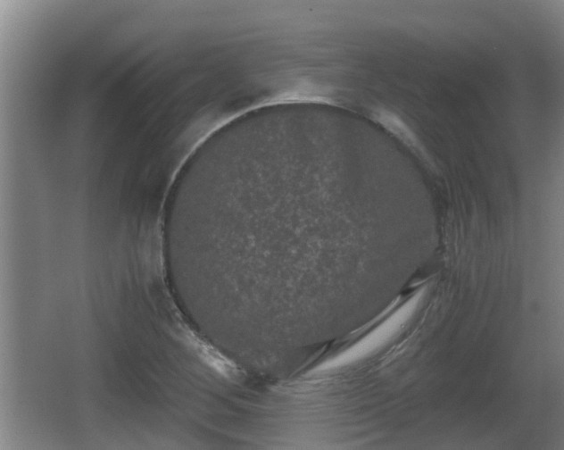 X0000062831268200601171410