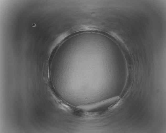 X0000062831269200601171410