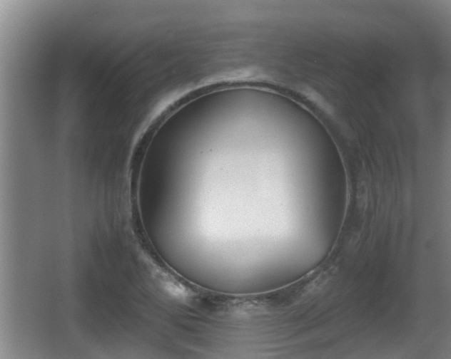 X0000062831270200601171410