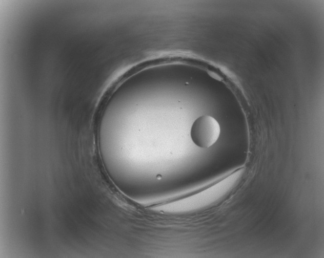 X0000062831271200601171410