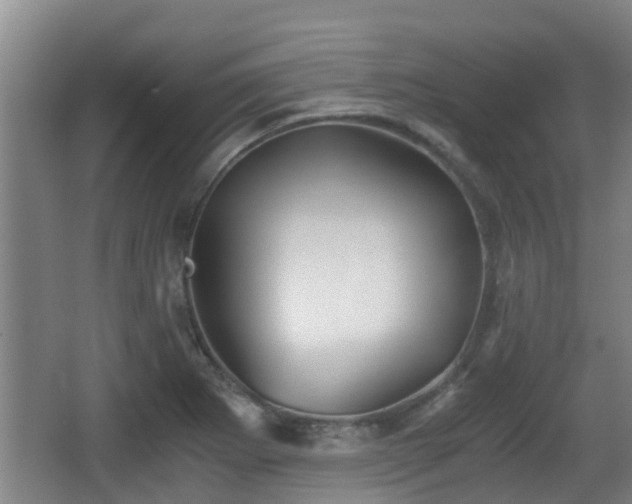 X0000062831273200601171410