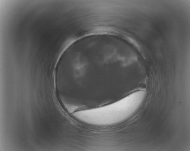 X0000062831275200601171410