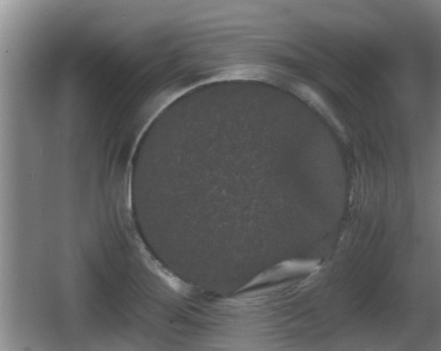 X0000062831276200601171410