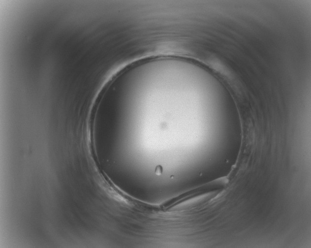 X0000062831280200601171410