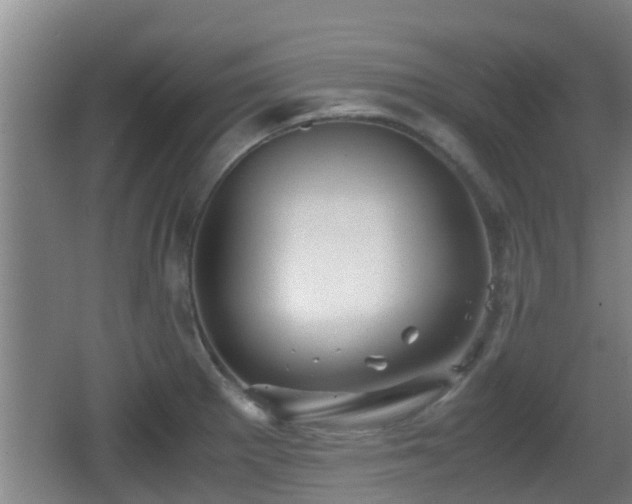 X0000062831281200601171410