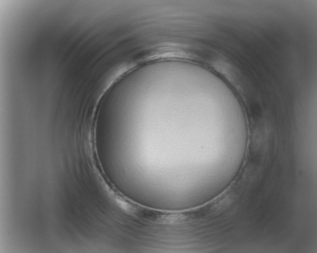 X0000062831282200601171410