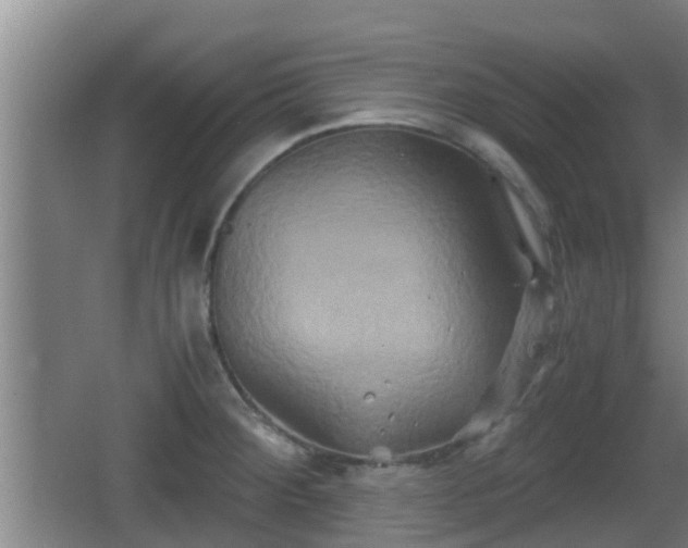 X0000062831284200601171410