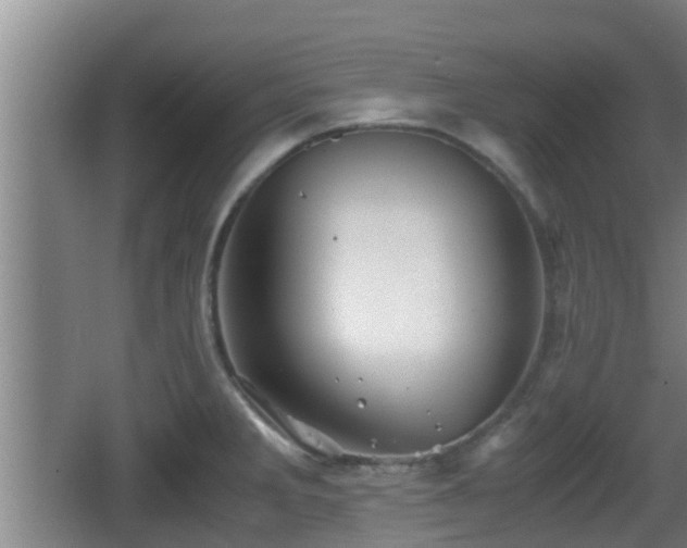 X0000062831285200601171410