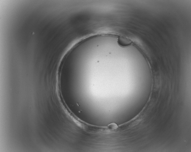 X0000062831286200601171410