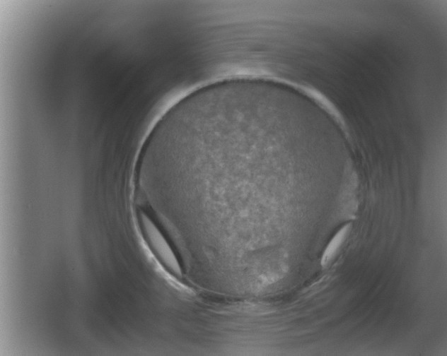 X0000062831287200601171410