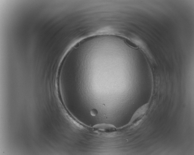 X0000062831288200601171410