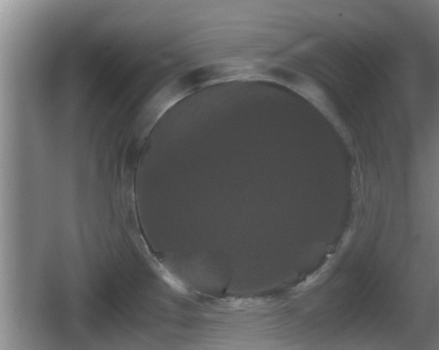 X0000062831289200601171410