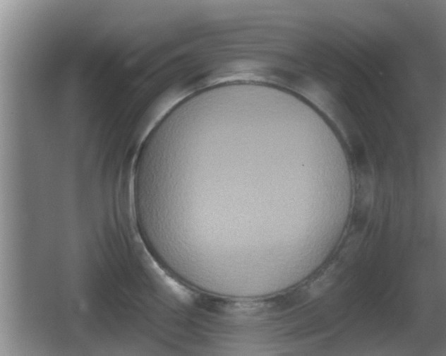 X0000062831290200601171410