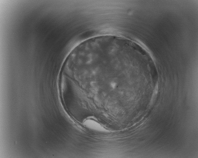 X0000062831291200601171410