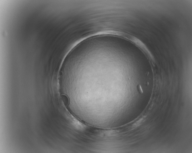 X0000062831292200601171410