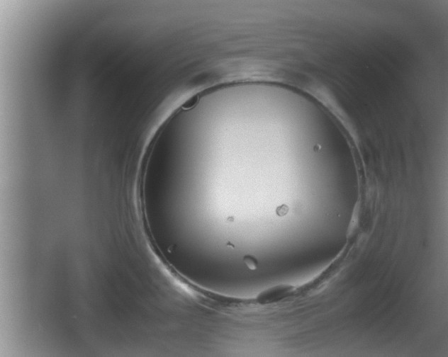 X0000062831293200601171410