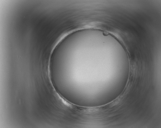 X0000062831294200601171410