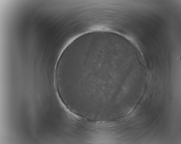 X0000062831295200601171410