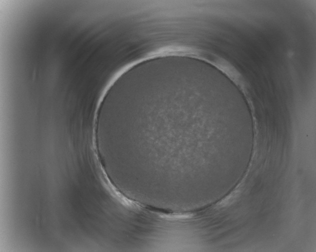 X0000062831296200601171409