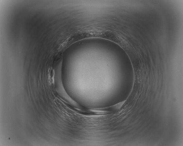 X0000062831298200601171409