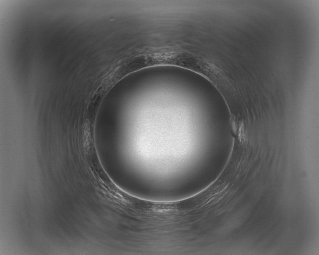 X0000062831299200601171409