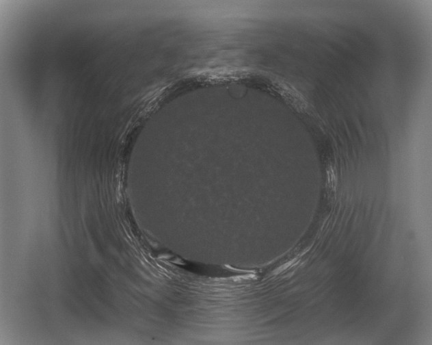 X0000062831300200601171409