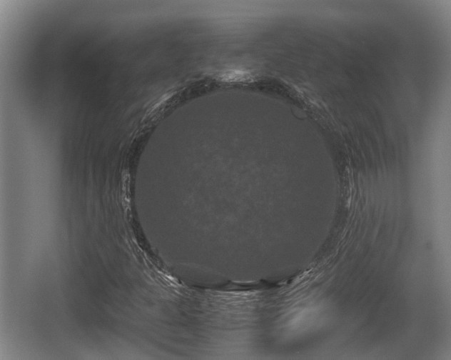 X0000062831301200601171409