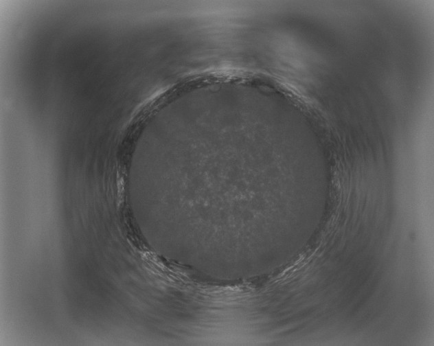 X0000062831302200601171409