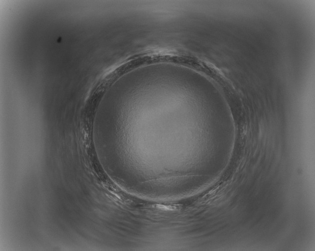 X0000062831303200601171409