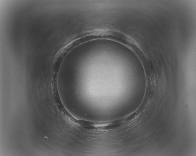 X0000062831304200601171409