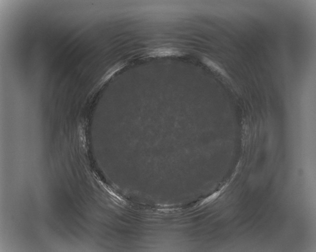 X0000062831305200601171409