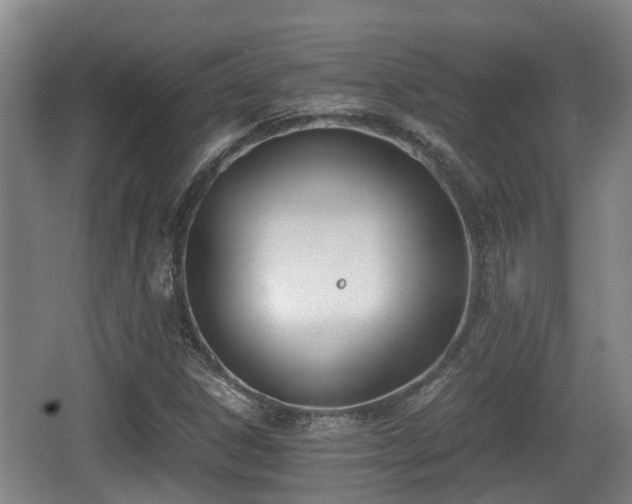 X0000062831306200601171409