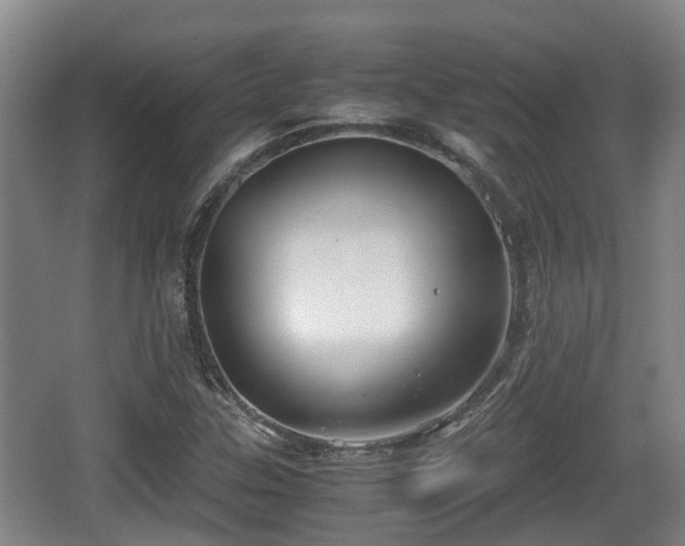 X0000062831307200601171409