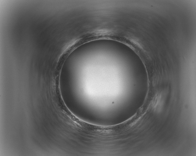 X0000062831309200601171409